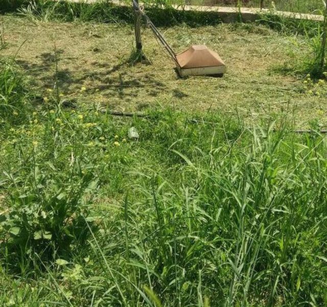 auto_33343086_595816504115095_6868913420939296768_n1526990544