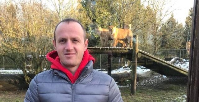 qemali-dy--e1529050189699