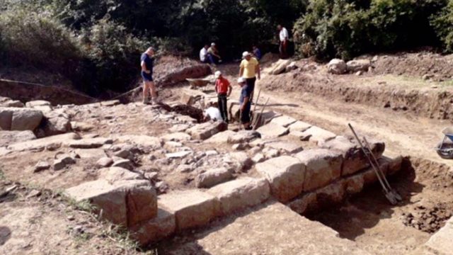 shkoder germime bushat