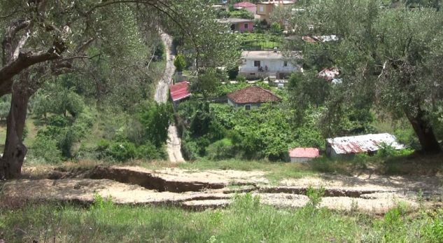 tokaaa_1529432393-1975785