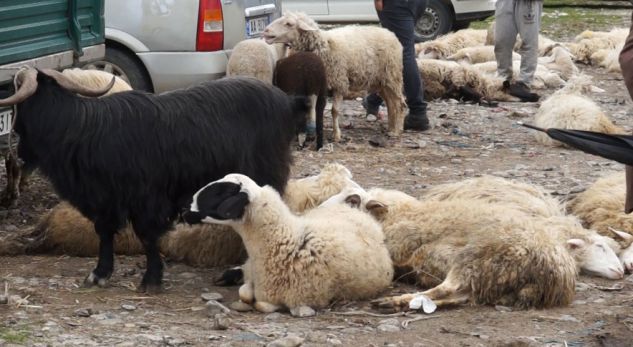 7DA0C22B-79D1-42F2-83DD-CA4DEBA69CBB