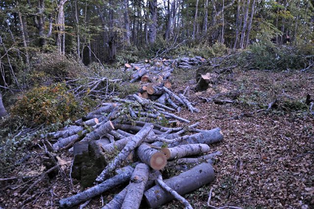 Dru-te-prera1-1-640x425