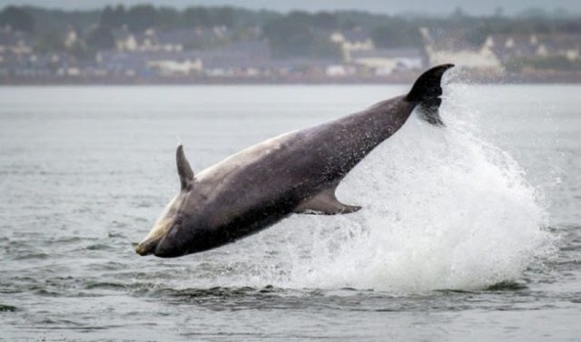 auto_unnamed_11532710030