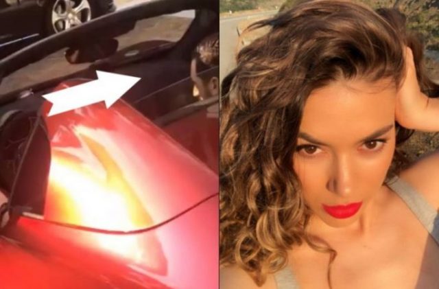 elvana-730x480-684x450