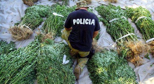 kanabis_1535471889-889016