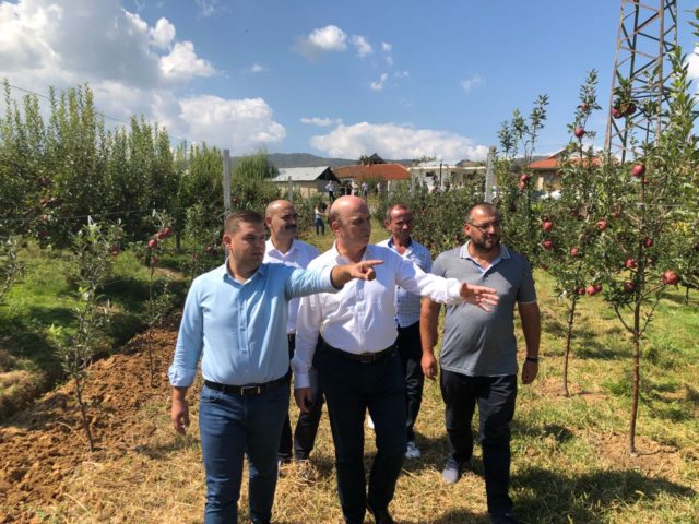 panariti ne dardhas korce