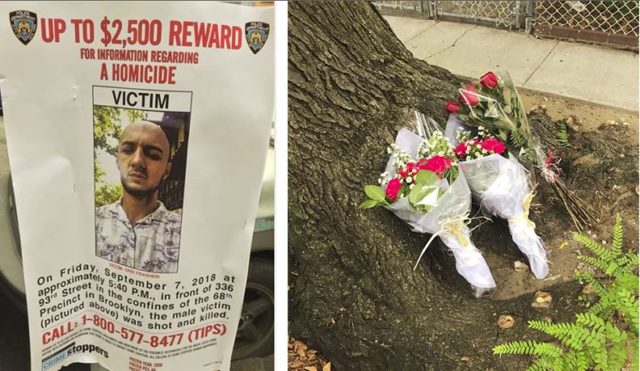 shperblimi-grei-frasheri-lulet_1536738467-3573241