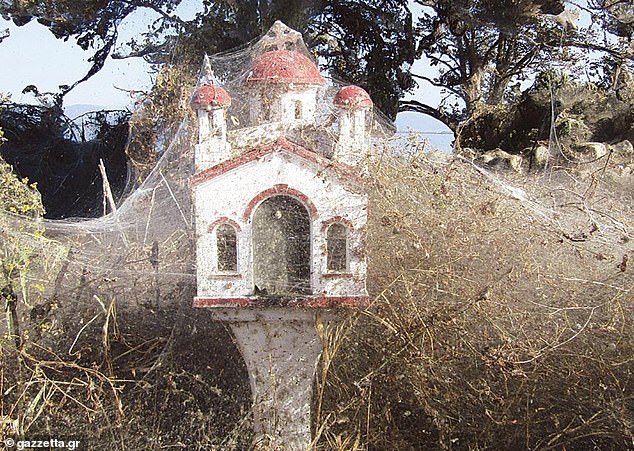 5160390-6290153-image-a-4_1539860602582