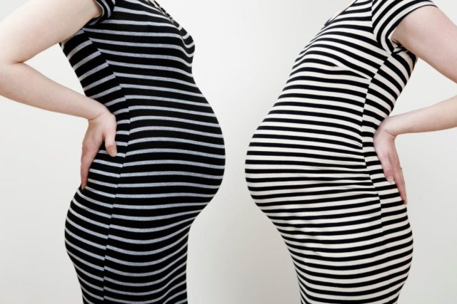 NINTCHDBPICT000444697836