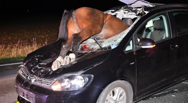 kali1_1539951606-7959813