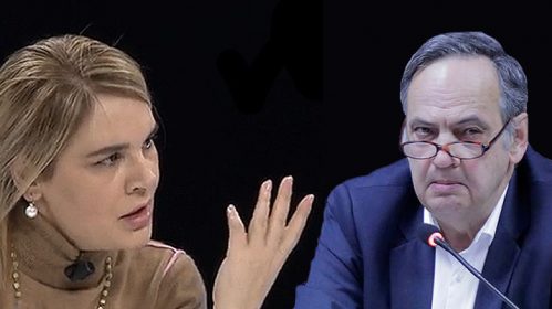 mona-knut-fleck-02-499x280