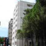 55764235_10156940455843190_1502867515670265856_n