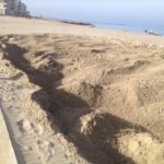 56328689_10156940455988190_7650796811128406016_n