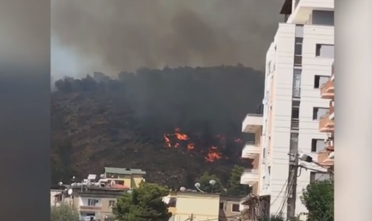 FBD158BD-046E-45B3-BB71-67F8561D7E6C