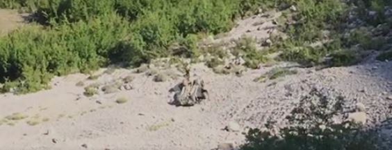 fouristrada aksident