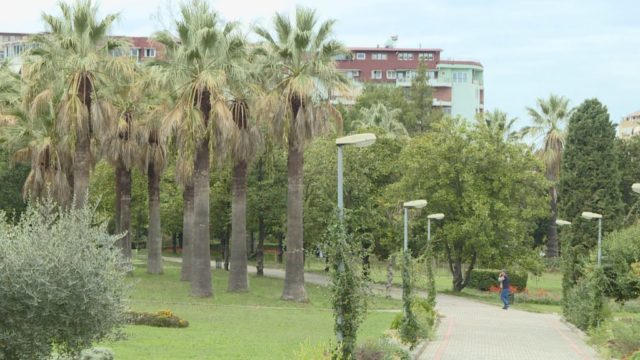 PERPLASJET-PER-KOPSHTIN-BOTANIK_frame_1093-1024x576-1