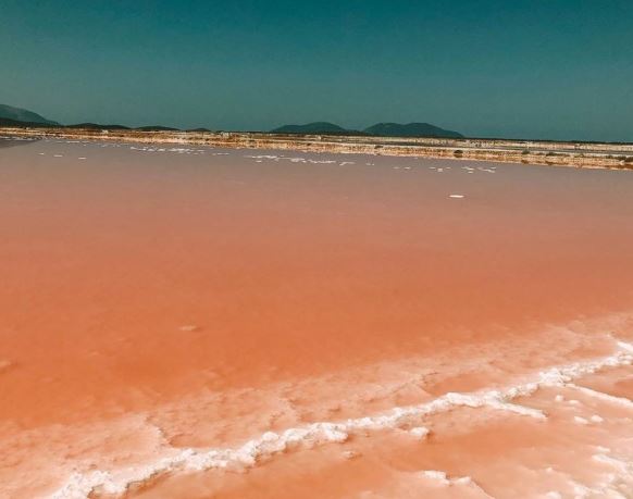 liqeni roze ne vlore