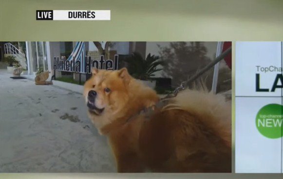 755EF130-06B3-43A0-8FBE-9D7AF830D403