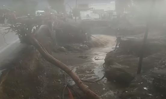 FDB187BC-F951-4008-AAA2-7CEFBC563417