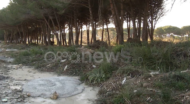 15C53192-A9EC-4BA2-B75D-4E197CFC4E15