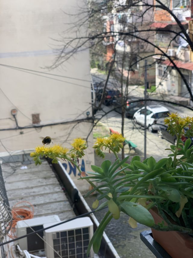 5B0CC479-0F2D-45BA-B2BB-0187B9FAD6DC