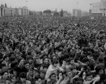 8674C903-FDEB-494F-BE10-50A728812615