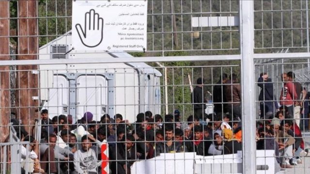 greqi-imigrante-696x392