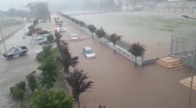 1F161198-16A7-4F61-9C5C-647C50700E49