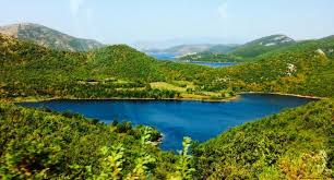 3816807A-D439-4E3F-AD51-CFC737321B26