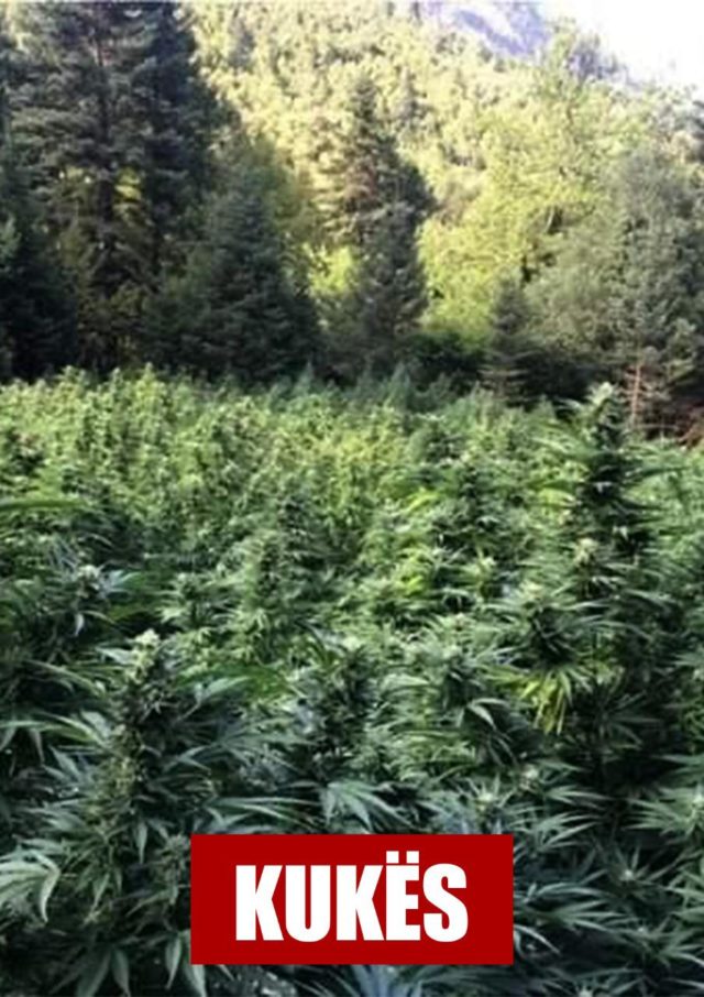 02EB41F0-CA99-457E-91CA-6F0491021722