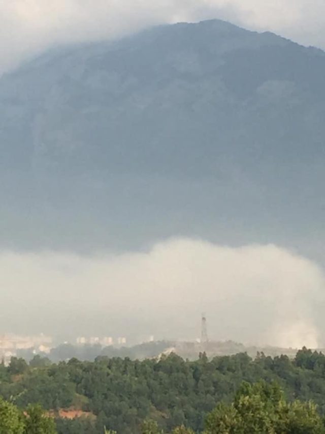 11122EB3-1B45-492B-BA5C-B5396EB84D43