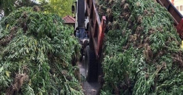 auto_sommmm1595015377