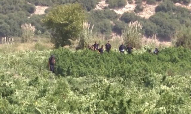 4465BE9C-05E0-4205-9FBB-6AC1ABD1A9C5