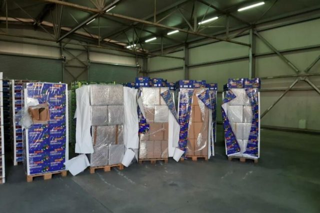 2 ton kanabis në Podgoricë, reagon Policia e Shtetit