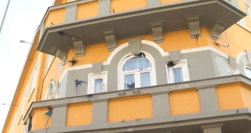 ministria e arsimit boje