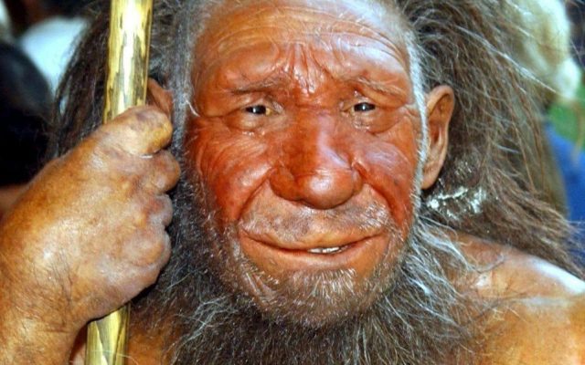 neandertal