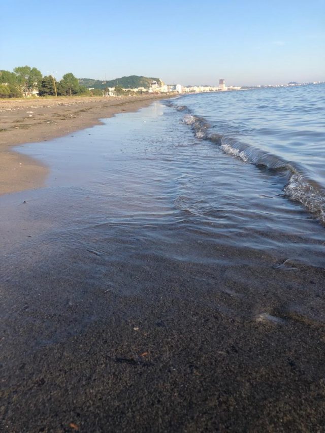 5332B4FC-B369-4D73-A6C3-8A7E11FF2F45