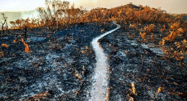 43D44C6C-FD00-4675-95BB-A4872CF8D41C