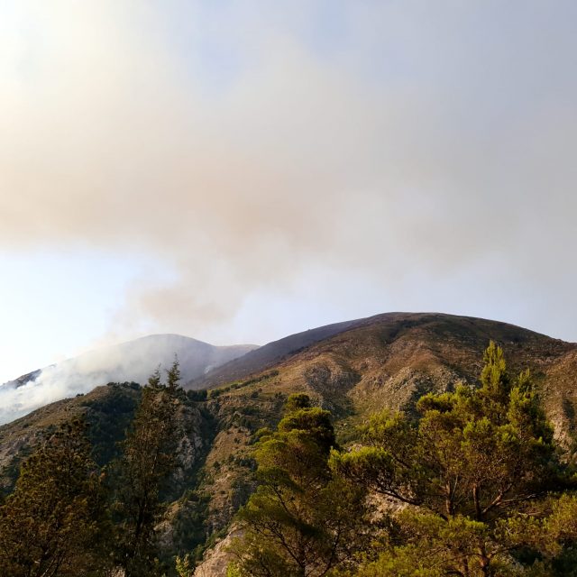 870AF6C5-29AD-44F3-BAD6-853BFFD06DE4