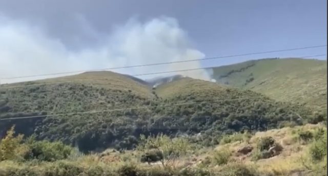 1AA7C9E3-10E4-4698-A356-0B2787EBE364