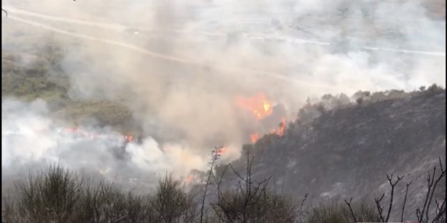 C8E3C033-F63B-4CC6-9145-F879A16906E1