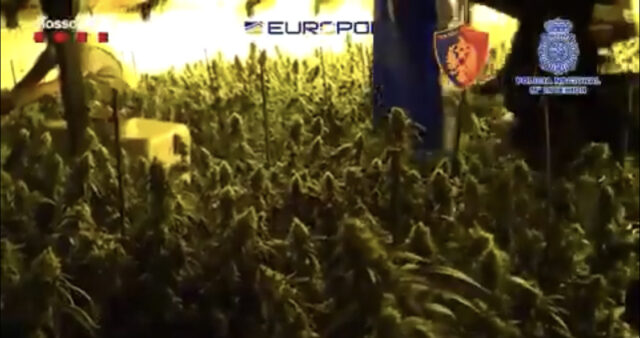 120D0BD8-009B-40E8-B56F-BC0DD394E704