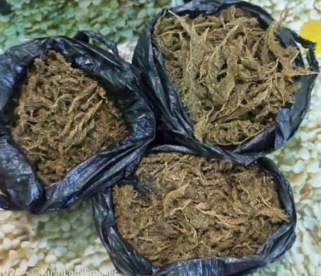 A5AD0DD1-8F35-4830-A344-A1DA324D8B49