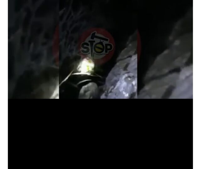 0D336258-947B-4F42-8E86-FC818F8582DD