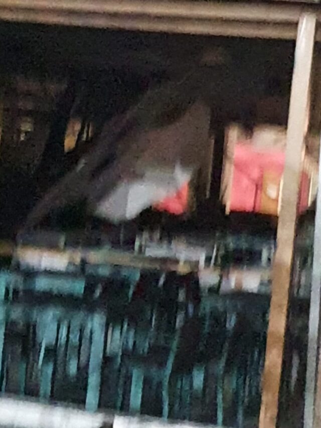 0E32608D-C13F-4472-A5B5-ADA1E8F2EA3E