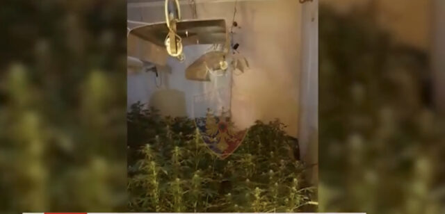 580D88FA-84CF-40C5-9E2E-F84E75874DFC