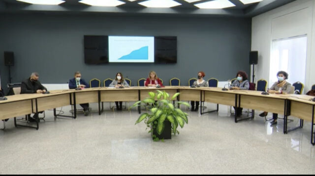 komiteti i eskperteve