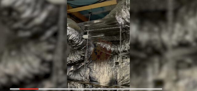 EFDCB555-0AAC-42EC-A96D-65406FF983C4