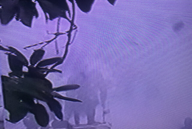 66BFABC5-8116-48B2-AD20-2F83DD98B0FC