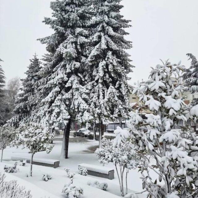 C745F65B-9F6A-41B8-90A7-E578887AE7D9